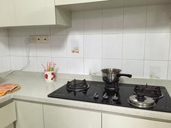 Hume Park II (D21), Condominium #78379642
